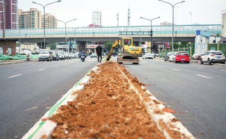 济南网红麦田无缝切换“绿化”身份