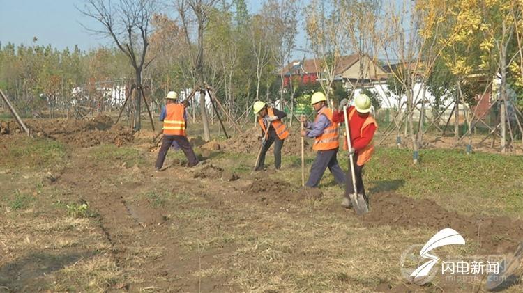 滨州邹平：加强绿化栽植养护 提升园林景观效果