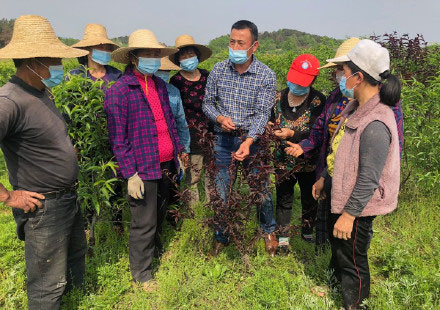 “拓荒者”筑梦南石村