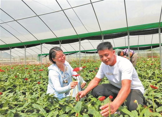 靖西市渠洋镇建设花卉基地助力脱贫攻坚