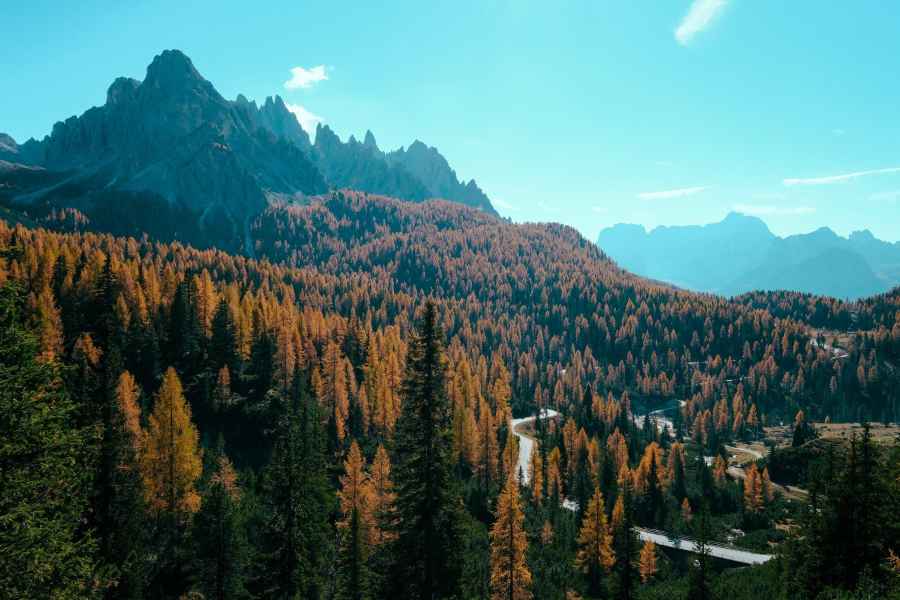 永春：高山花卉助力乡村振兴