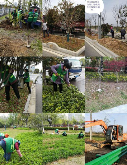 明光市城区绿化日常养护和建设工作
