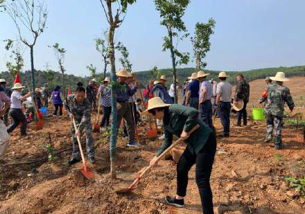 开展义务植树活动 今年计划造林1.4万亩