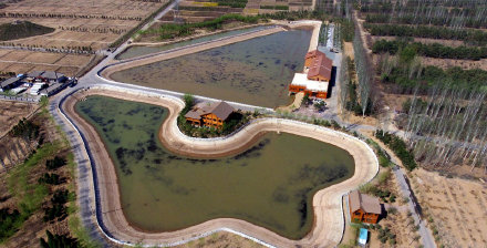 写在大地上的“加减乘除”，宁夏递交国土绿化优质答卷