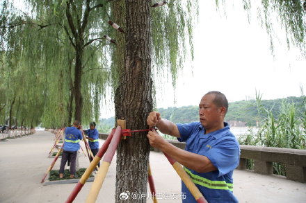 一场与洪峰的较量 ——泸州市住建系统迎战“8.19”洪峰纪实