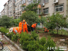 泰安财源街道开展专项整治行动，让绿化带真正“绿起来”