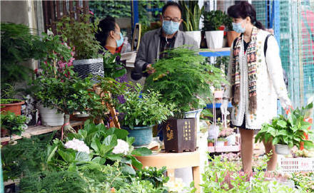 花市复市，人气渐涨