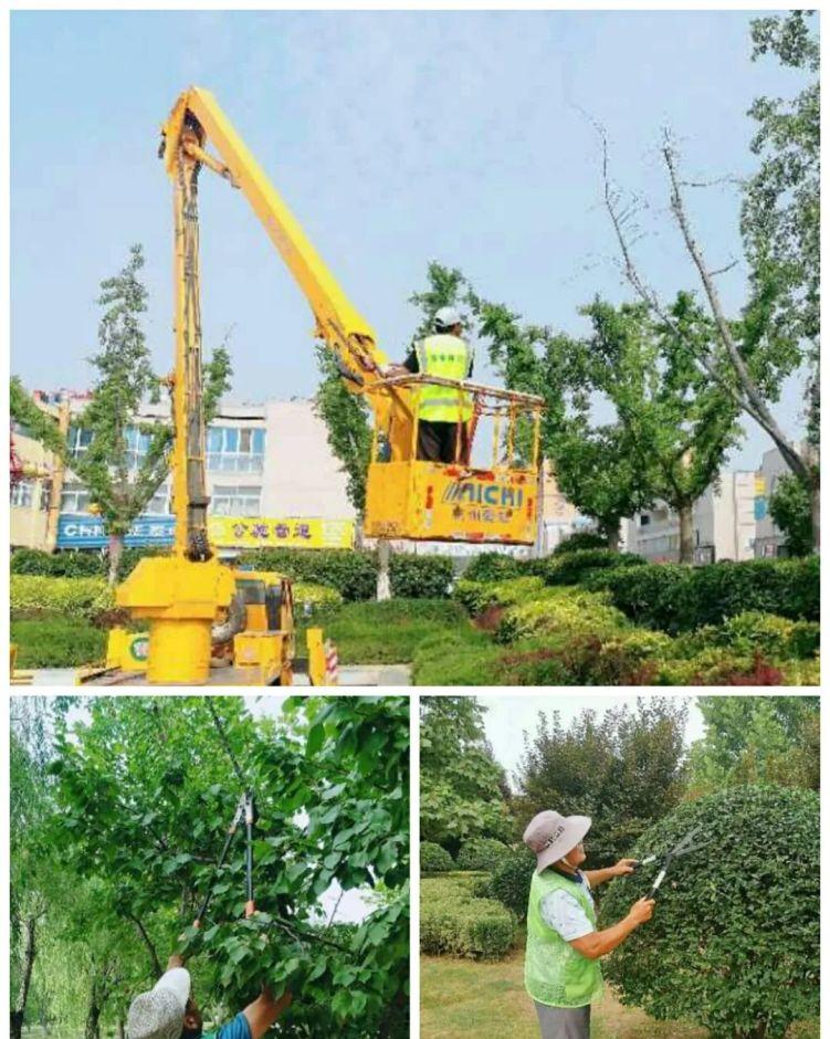单县园林绿化服务中心：加强夏季苗木修剪工作