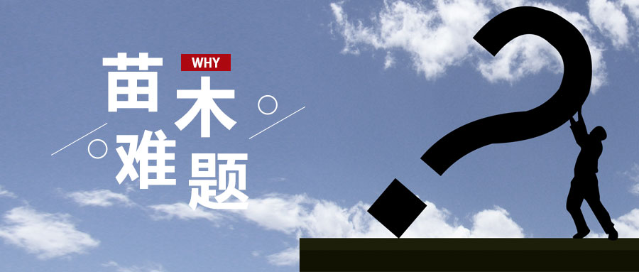 同样是做苗木,为什么我没他赚的多?