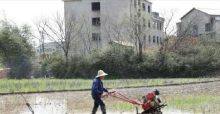湖南今年将建10大设施农业示范基地