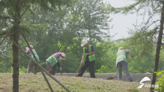 40秒｜潍坊寒亭以“绣花”精神实施园林绿化建管 助力全国文明城市创建