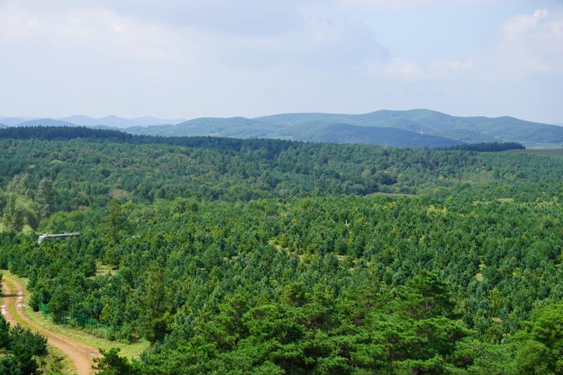 吉林省今春造林绿化168万亩 　义务植树3204万株