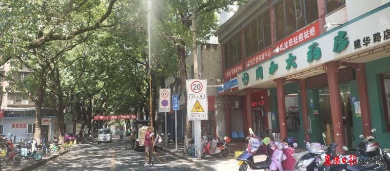 建新路社区治理绿化树木虫害