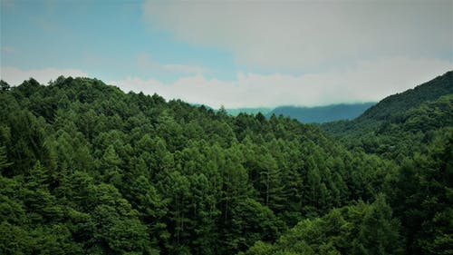  河北省2家国家农业科技园区获评优秀