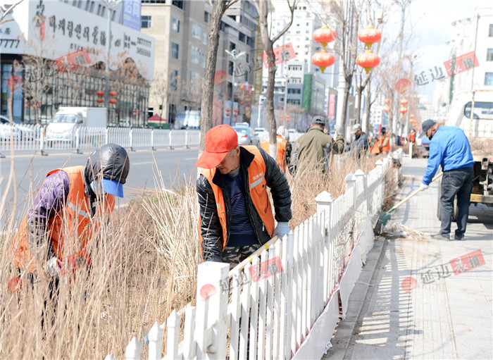 延吉补植16万株苗木扮靓城市好风景