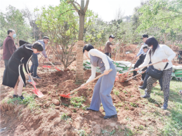 福清市政协开展捐种“政协委员林·名树名木园”活动