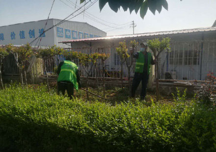 15000余株新植补植苗木“扎根”健身步道及社区小游园