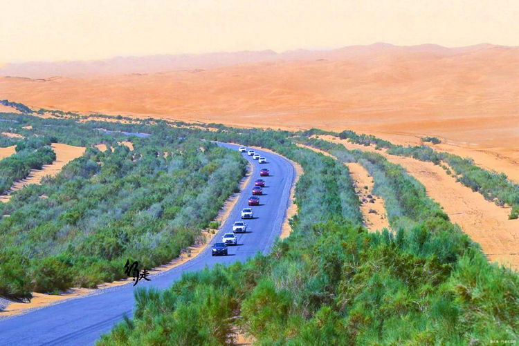 最难修的沙漠公路：在流沙中修路446公里，绿化带宽达78米