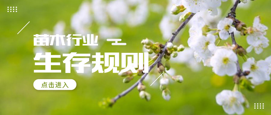 不要等到被行业淘汰才明白“生存规则”