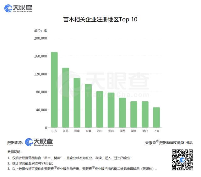 植树节写入森林法：数据显示我国139万家苗木企业助力绿水青山，近十年注册总量翻7倍