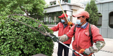 海东市平安区对城区道路两侧及绿化带内苗木进行修剪