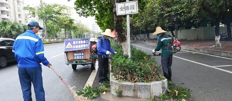 信宜开展城区美化绿化升级改造