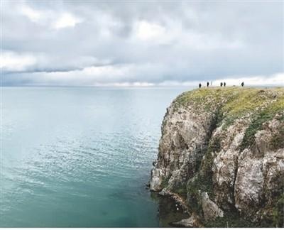 为青海湖添绿