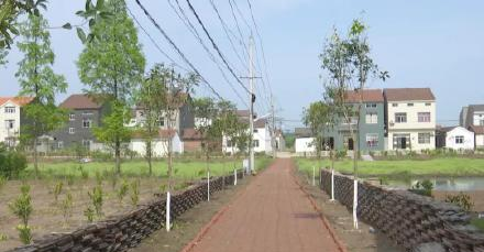 普济镇洪渊村：就地取材添美景 庭院经济增效益