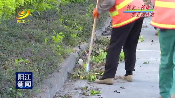 阳江市园林部门集中清理绿化带垃圾