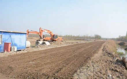 无棣白蜡苗木基地建成启用，“市树”为无棣发展增添绿色活力